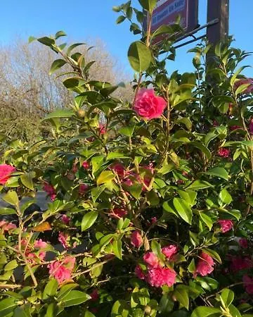 Apartament Tailors Lodge, Luxurious Peaceful Apartment- Castleisland, Kerry