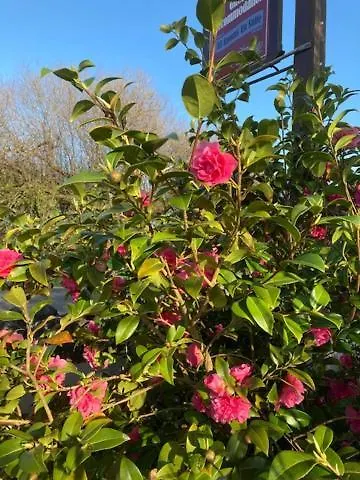 Daire Tailors Lodge, Luxurious Peaceful Apartment- Castleisland, Kerry